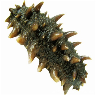 ֱ-