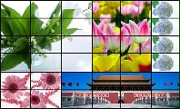 46ҺƴҺƴӴĻ