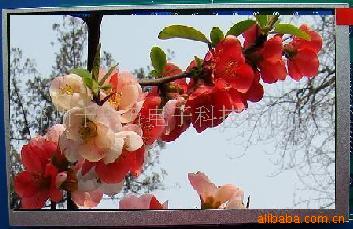 4.3繤Һʾ