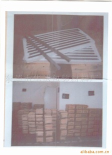 ϸٽW-1XW-2
