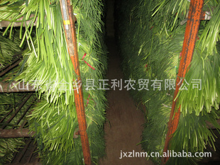 ҹ˾2012Ľ̦