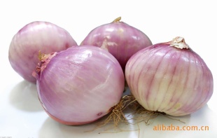 ̡Բ