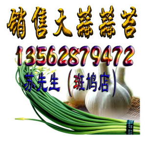 1.7Ԫ/̦1.8-2.0Ԫ/