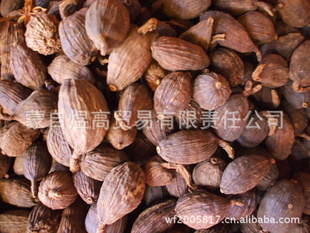 香料草果草果仁