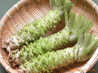 生山葵/wasabi/山嵛菜