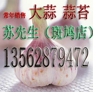 ɽ1.5-1.8Ԫ/.ۺ