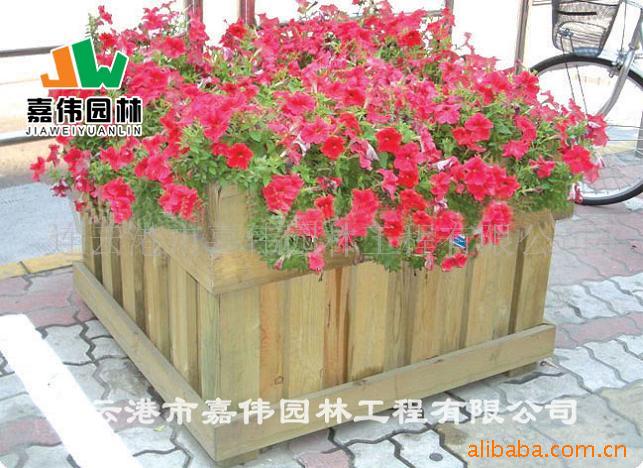 䣬С䣬ľƻ䣬û