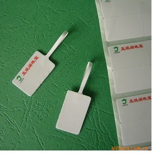鱦ǩæӡˢ