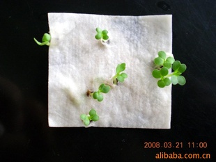 ֽSEEDPAPER