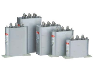 BSMJ0.45-20-3ѹ