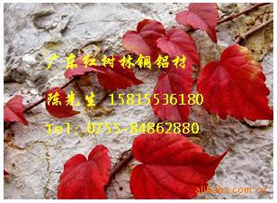 ̼606144x160
