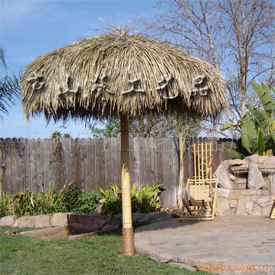 ɡҶɡɡpalapa