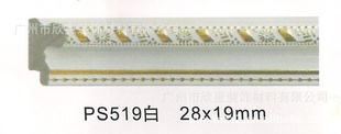 PS519