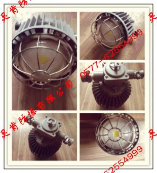 DGS50/127L(A)-50W