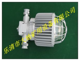 48WơDGS48/127L