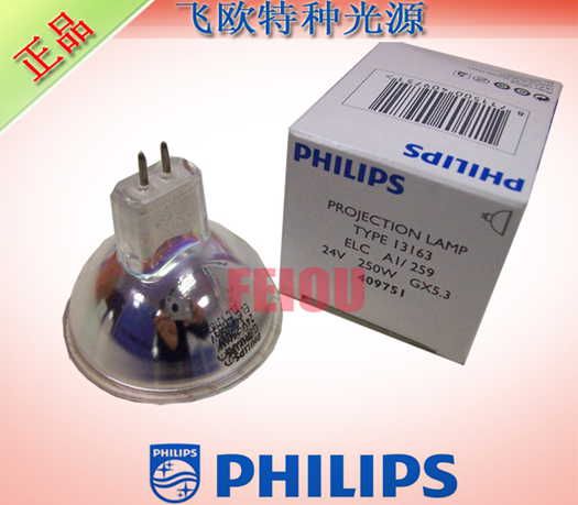 PHILIPS1316324V250WƱ