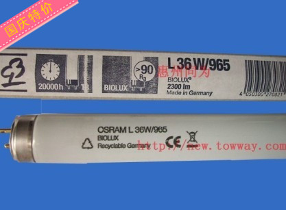 OSRAML36W/965BIOLUXD65Եƹ