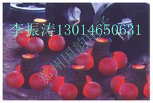 豸