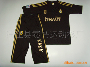 2010ҶӼֲѵ