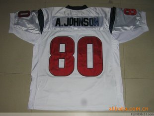 TEXANS˶#80A.JOHNSON