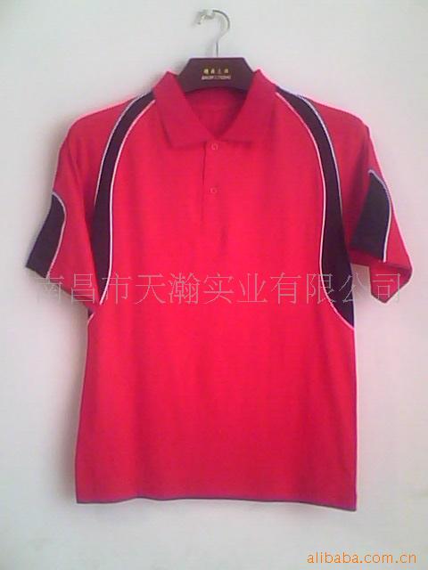 polo(ͼ)