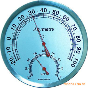 ʱAnymetre1²ƷʪȼTH600B