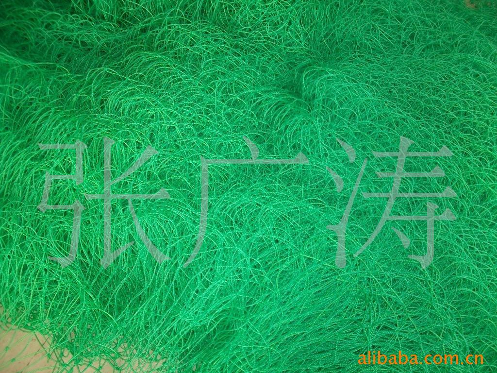 ϩ/ѵã