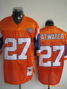 NFLҰDenverBroncos˶