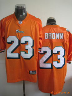MiamiDolphinsܺ˶