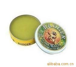 Badger/⵳¸21gֹó