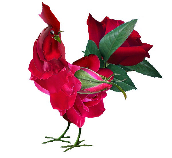 ɽĳɽʺӱ۸͵ӬӬ㳧ͼ