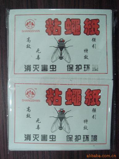 中号蝇