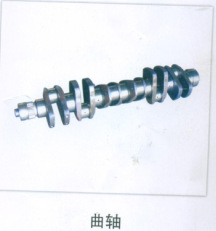 ĵǡݵȸ