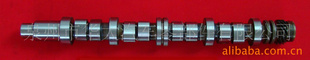 F10A͸͹dextro