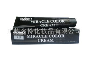 100ml֧hȾ