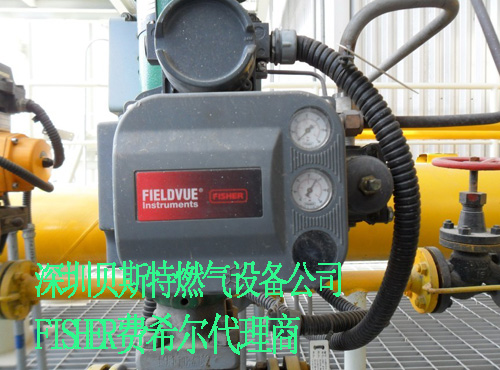 FISHERDVC62003582i