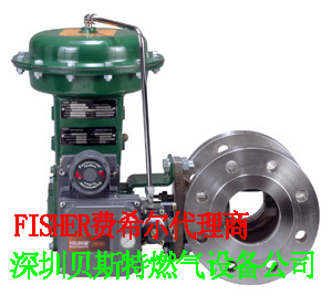 FISHERDVC2000HCDVC6030