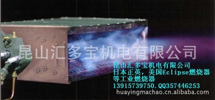 ú豸