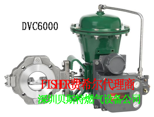 FisherDVC6000DVC6200ϵ