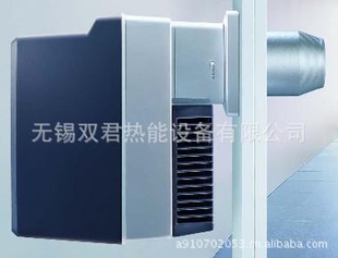 WL10ȼȼ(weishaupt)