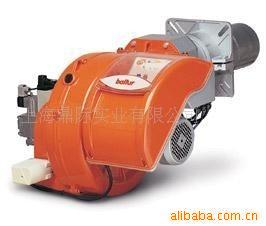BALTURٵTBG210Pȼȼ