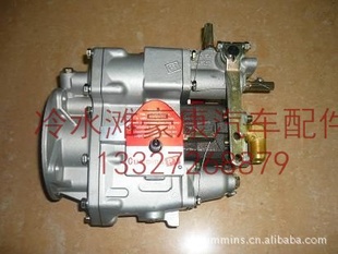 쿵˹NT855PT4951418