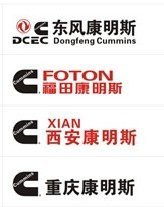 쿵˹NTA855-C250PT3655041fuelpump