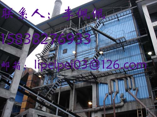 Q245R(HIC,Q245R(R-HIC,Q24