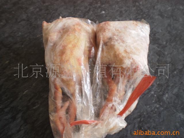 北京新鲜乳鸽乳鸽
