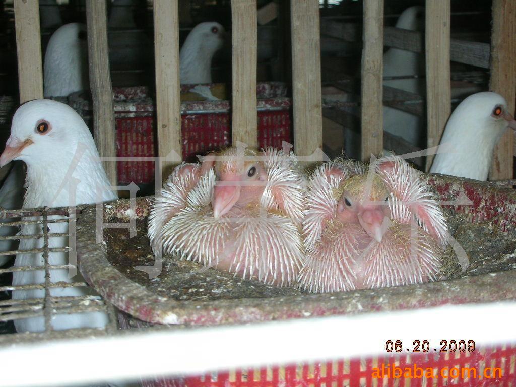 ʡ롣0.5-1