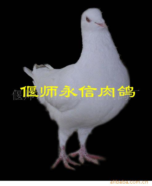 ̭ϰ׸