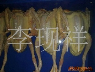 ζɿ䶳ʳƷ/(ͼ)