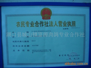 ̩Ա룬ָ