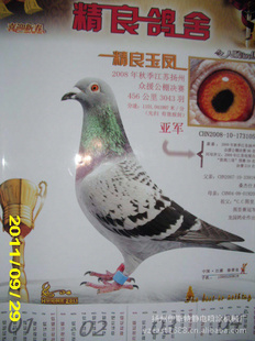 扬州精良鸽舍是从事信鸽养殖和,愿有志同道合的朋友关注